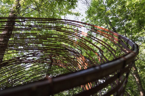 Courtesy of OCA - Oasi Dynamo. Photo by Lorenzo Marianeschi